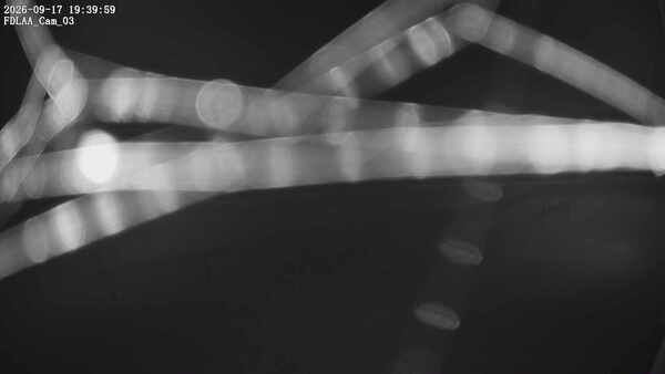 South-East Camera