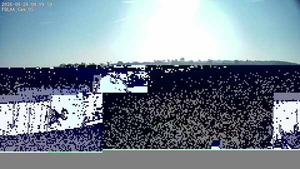 Parking Camera