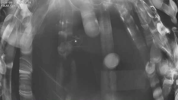 Parking Camera
