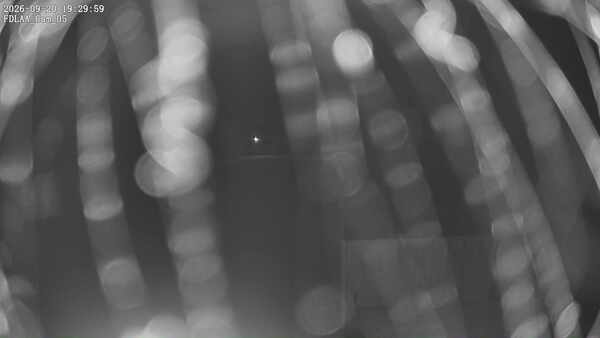 Parking Camera