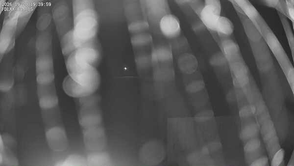 Parking Camera
