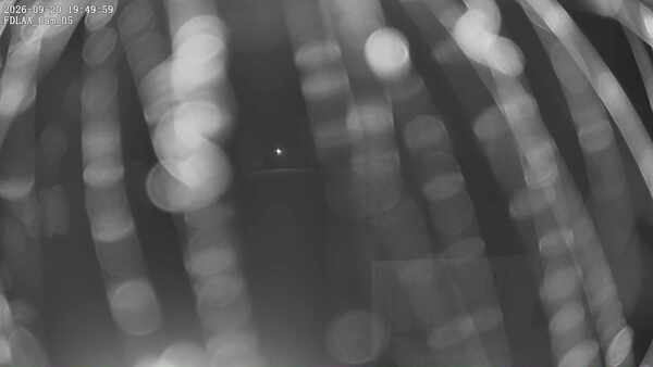 Parking Camera