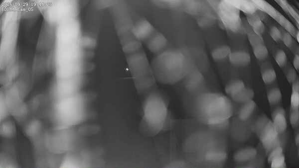 Parking Camera