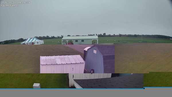 Parking Camera