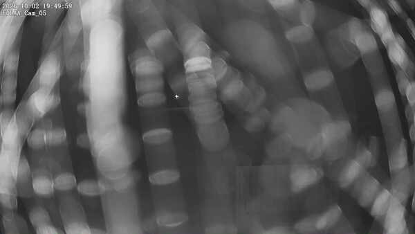 Parking Camera