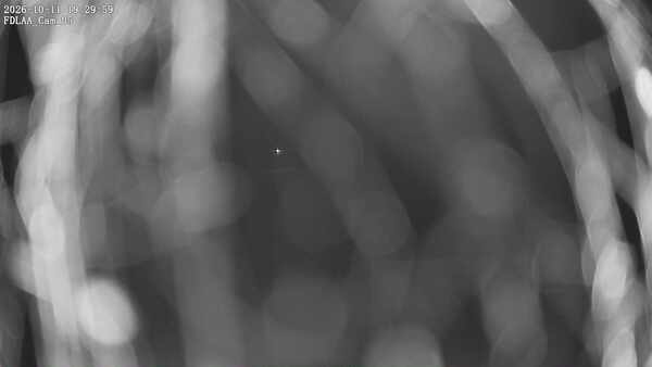 Parking Camera