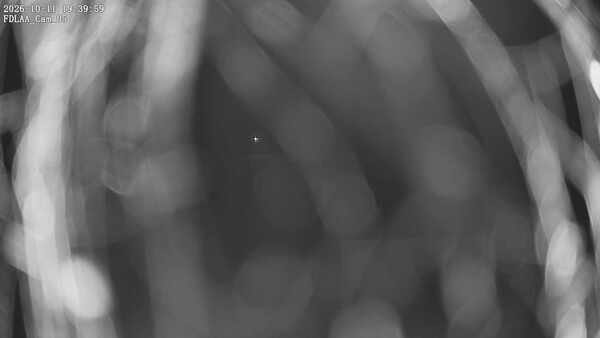 Parking Camera