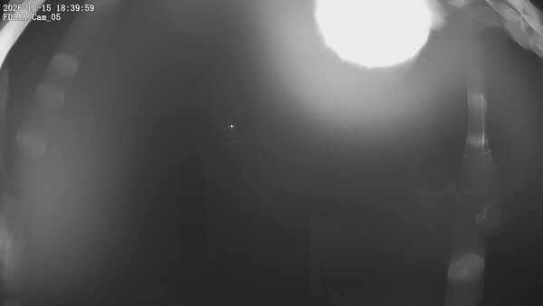 Parking Camera