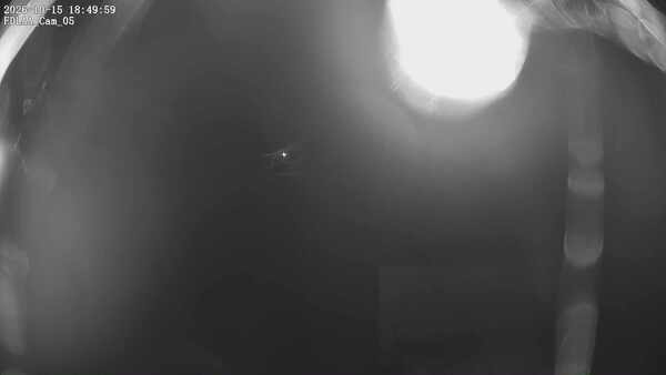 Parking Camera