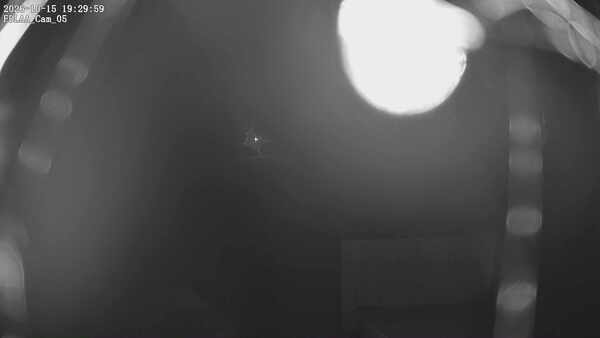 Parking Camera