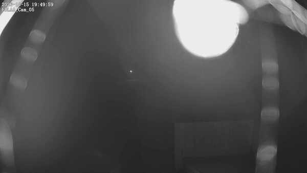 Parking Camera