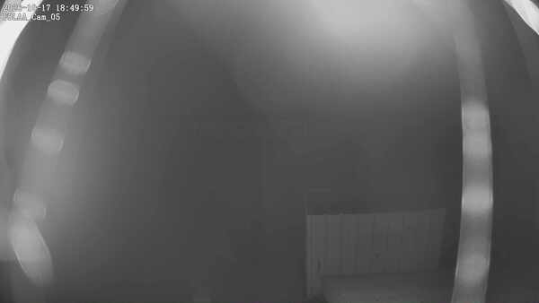 Parking Camera