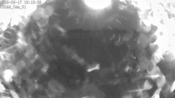 North-East Camera